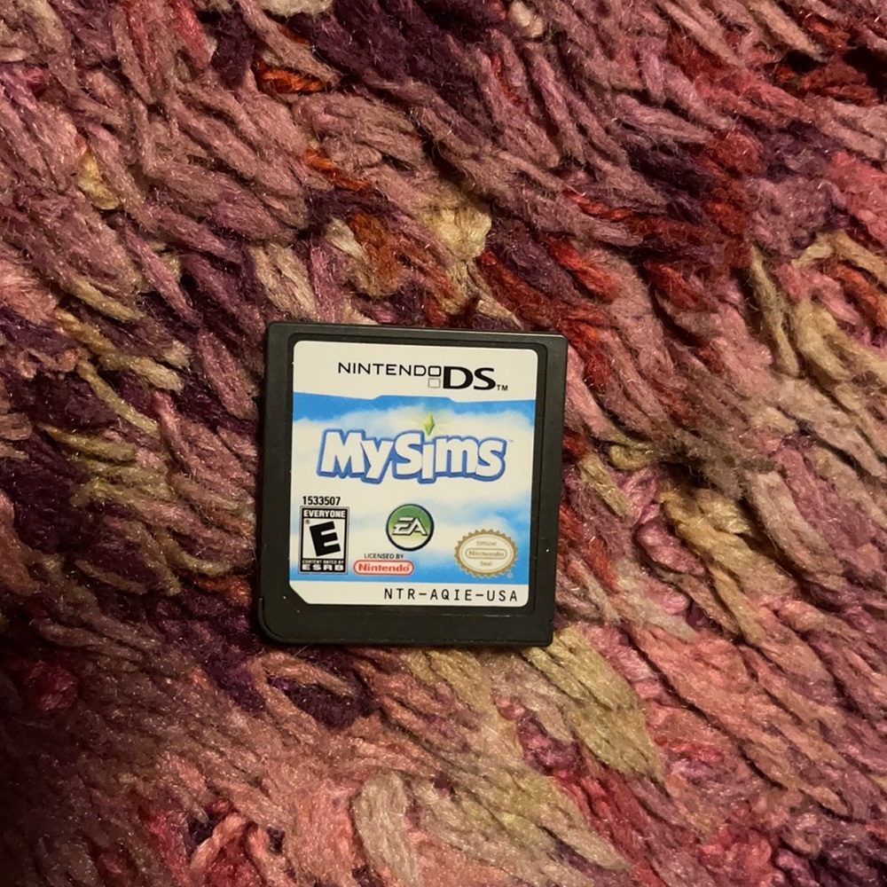 Dsi game